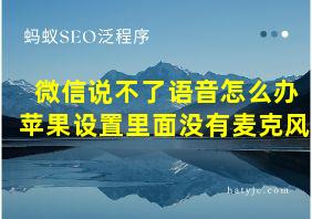 微信说不了语音怎么办苹果设置里面没有麦克风