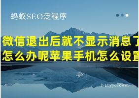 微信退出后就不显示消息了怎么办呢苹果手机怎么设置