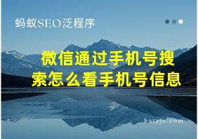 微信通过手机号搜索怎么看手机号信息