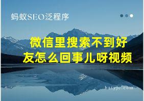 微信里搜索不到好友怎么回事儿呀视频