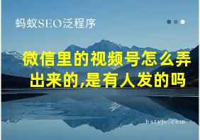 微信里的视频号怎么弄出来的,是有人发的吗