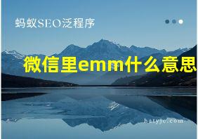 微信里emm什么意思