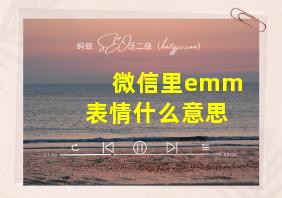 微信里emm表情什么意思