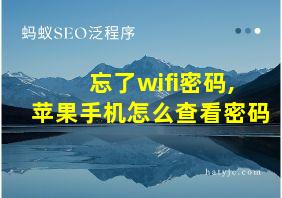 忘了wifi密码,苹果手机怎么查看密码