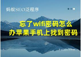 忘了wifi密码怎么办苹果手机上找到密码