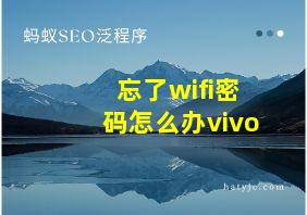 忘了wifi密码怎么办vivo