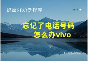 忘记了电话号码怎么办vivo