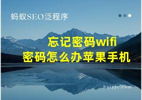 忘记密码wifi密码怎么办苹果手机