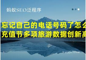 忘记自己的电话号码了怎么充值节多项旅游数据创新高