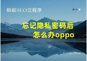 忘记隐私密码后怎么办oppo