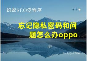 忘记隐私密码和问题怎么办oppo