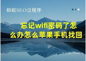 忘记wifi密码了怎么办怎么苹果手机找回