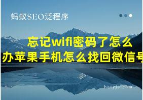 忘记wifi密码了怎么办苹果手机怎么找回微信号