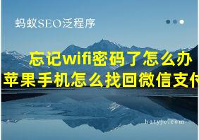 忘记wifi密码了怎么办苹果手机怎么找回微信支付