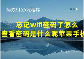 忘记wifi密码了怎么查看密码是什么呢苹果手机