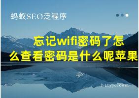 忘记wifi密码了怎么查看密码是什么呢苹果