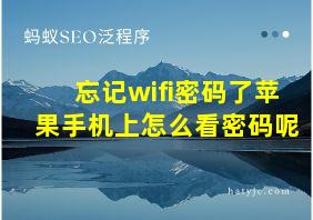 忘记wifi密码了苹果手机上怎么看密码呢