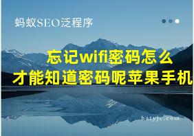 忘记wifi密码怎么才能知道密码呢苹果手机