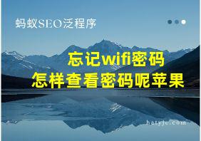 忘记wifi密码怎样查看密码呢苹果