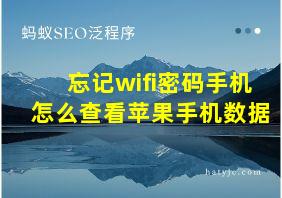 忘记wifi密码手机怎么查看苹果手机数据