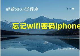 忘记wifi密码iphone