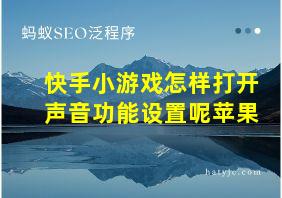 快手小游戏怎样打开声音功能设置呢苹果