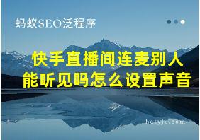 快手直播间连麦别人能听见吗怎么设置声音