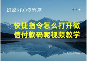 快捷指令怎么打开微信付款码呢视频教学