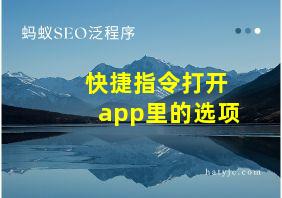 快捷指令打开app里的选项