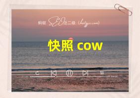 快照 cow