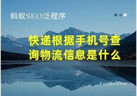 快递根据手机号查询物流信息是什么