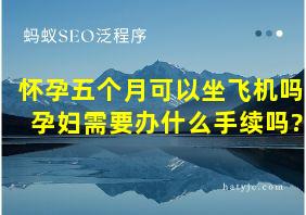 怀孕五个月可以坐飞机吗 孕妇需要办什么手续吗?