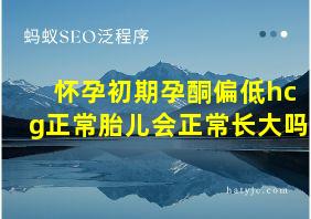 怀孕初期孕酮偏低hcg正常胎儿会正常长大吗