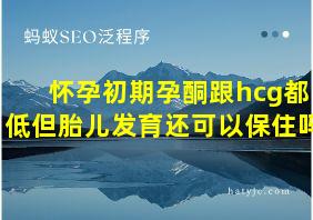 怀孕初期孕酮跟hcg都低但胎儿发育还可以保住吗