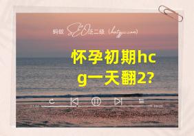 怀孕初期hcg一天翻2?