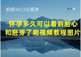 怀孕多久可以看到胎心和胚芽了呢视频教程图片