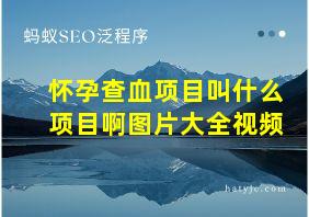 怀孕查血项目叫什么项目啊图片大全视频