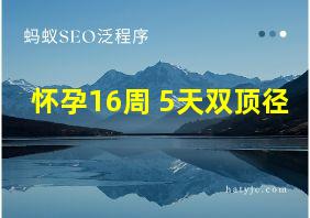 怀孕16周+5天双顶径