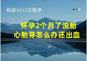 怀孕2个月了没胎心胎芽怎么办还出血