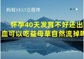 怀孕40天发育不好还出血可以吃益母草自然流掉吗