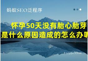 怀孕50天没有胎心胎芽是什么原因造成的怎么办呢