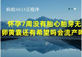 怀孕7周没有胎心胎芽无卵黄囊还有希望吗会流产吗