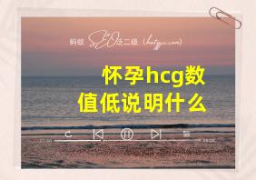 怀孕hcg数值低说明什么