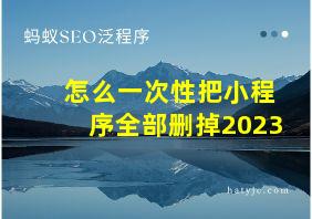 怎么一次性把小程序全部删掉2023