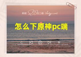 怎么下原神pc端