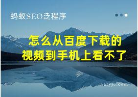 怎么从百度下载的视频到手机上看不了