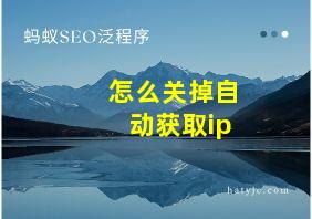 怎么关掉自动获取ip