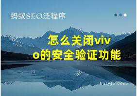 怎么关闭vivo的安全验证功能