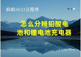 怎么分辨铅酸电池和锂电池充电器