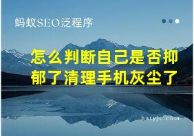 怎么判断自己是否抑郁了清理手机灰尘了